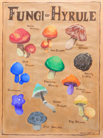 Fungi of Hyrule